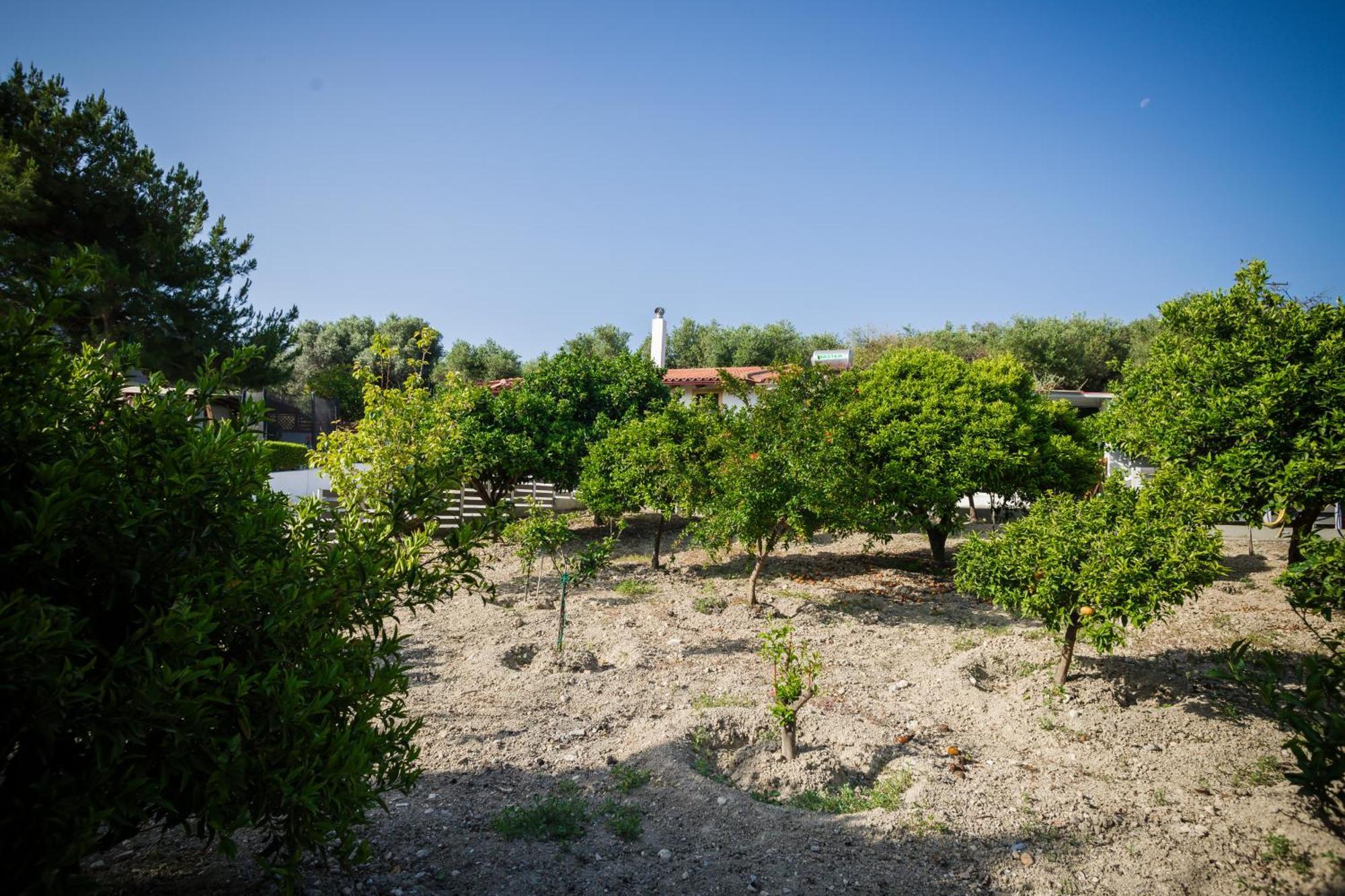 Villa Metochi ريثيمنو المظهر الخارجي الصورة